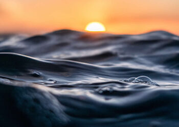 Nature Winners from the 1839 Photographer of the Year Awards