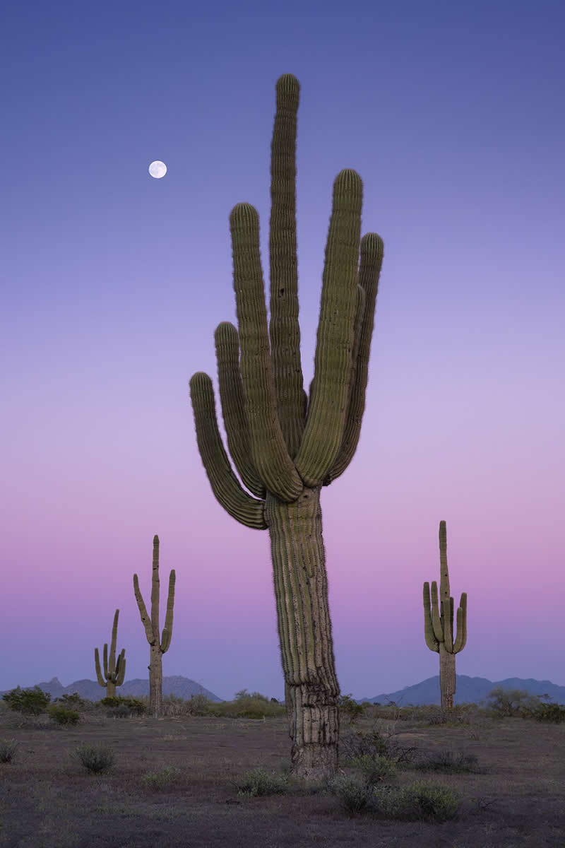 An Arizona Moonrise by Michael Mihaljevich - 1839 Photographer of the Year Awards Landscape Winners
