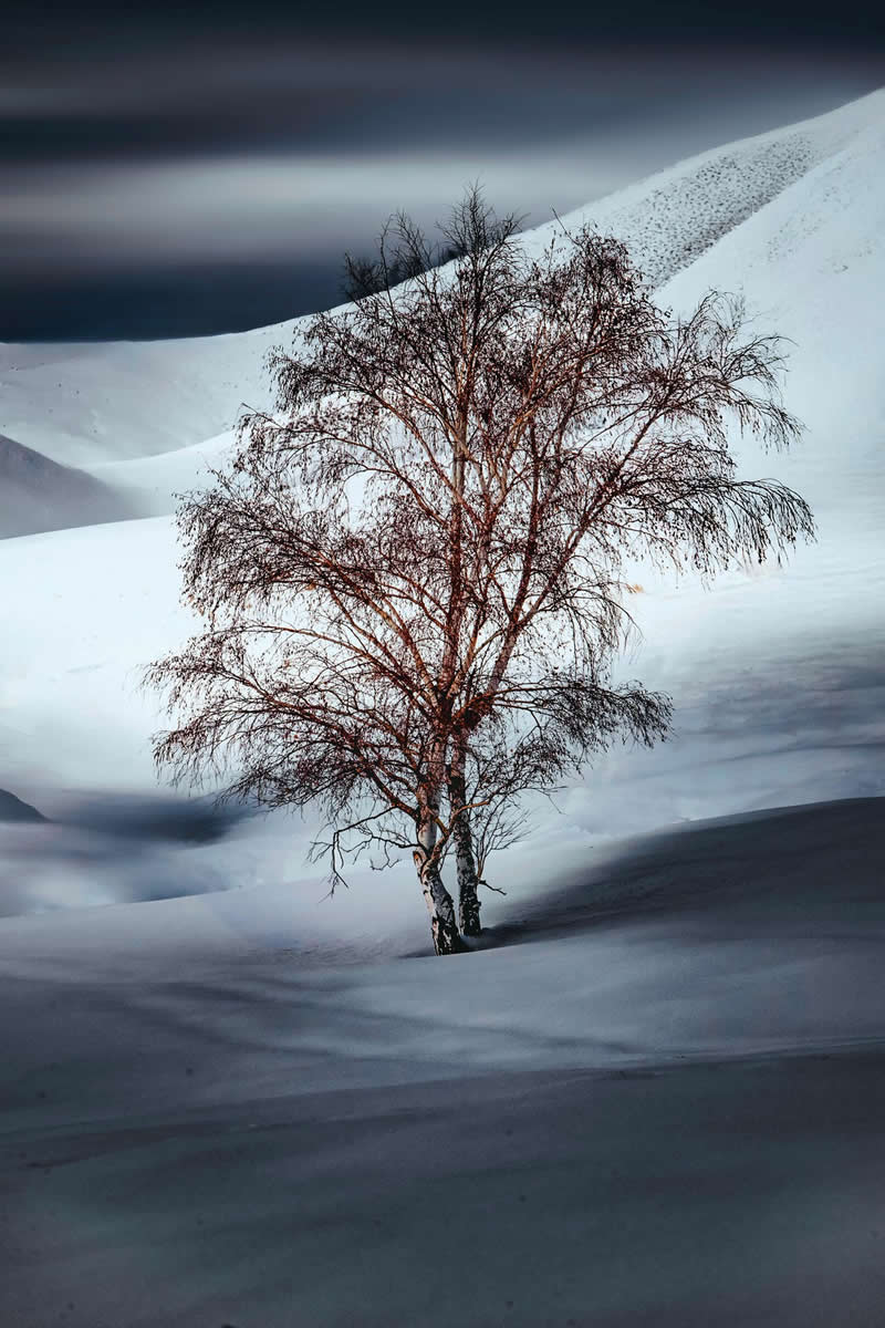 The Weight of Silence by John Martinotti - 1839 Photographer of the Year Awards Landscape Winners