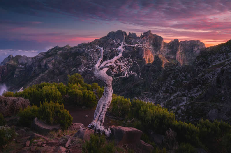 Twilight in Gondor by Grégoire Pansu - 1839 Photographer of the Year Awards Landscape Winners