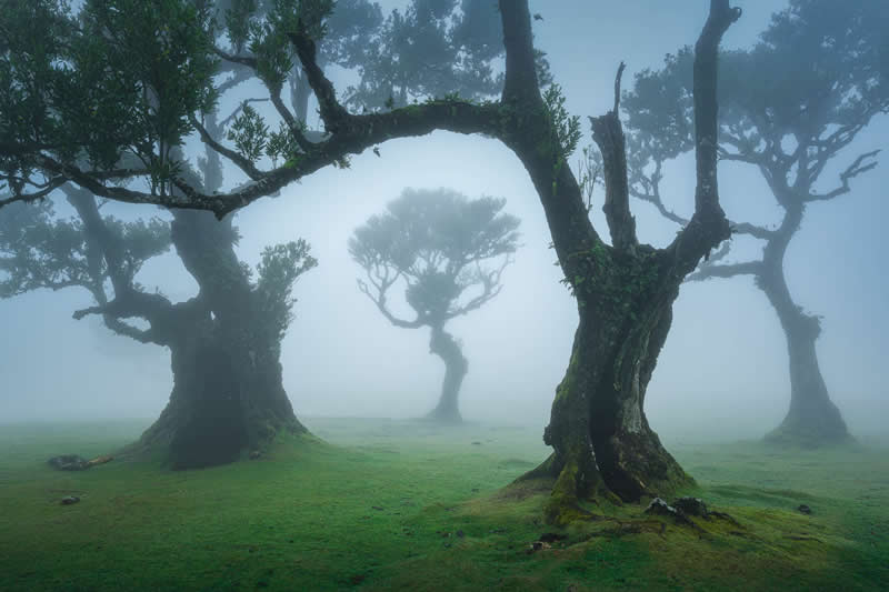 Cheering by Grégoire Pansu - 1839 Photographer of the Year Awards Landscape Winners