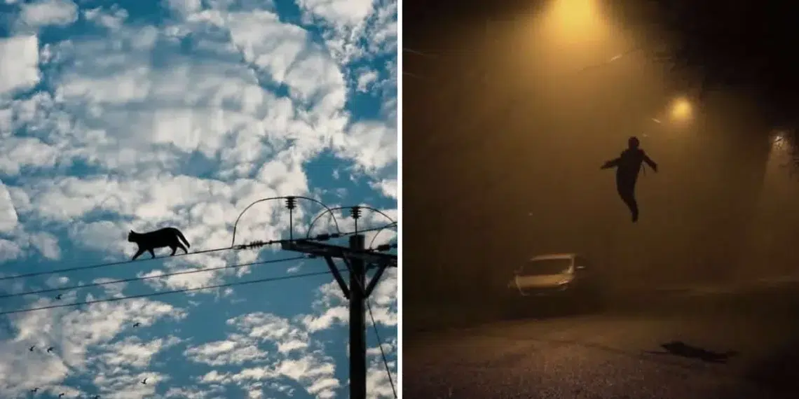 25 Cool and Unusual Photos That Could Totally Be Album Covers 26 A cat walking a power line against blue sky; a person levitating on a foggy street at night