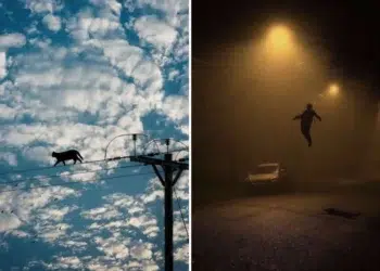 A cat walking a power line against blue sky; a person levitating on a foggy street at night