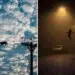 A cat walking a power line against blue sky; a person levitating on a foggy street at night
