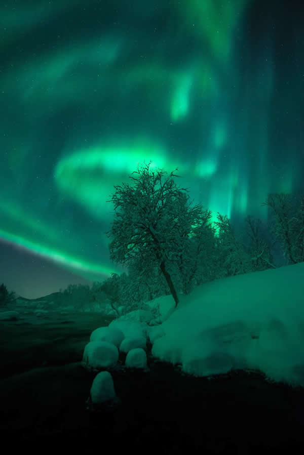 Northern Lights Dancing Over Lofoten by Christian Hoiberg