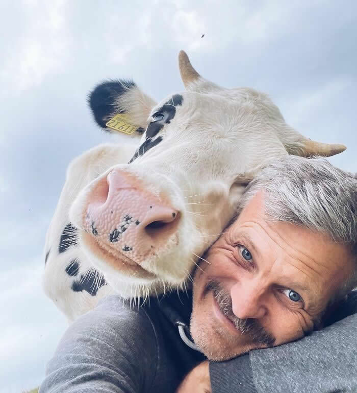 Cow Selfie - Adorable Animal Selfies