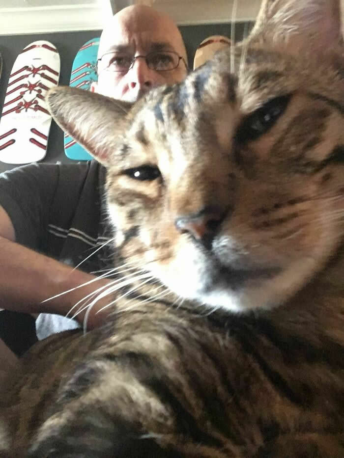 I Photobombed His Selfie - Adorable Animal Selfies