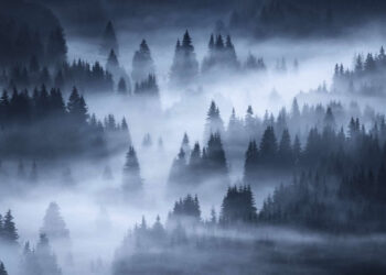 Beautiful Landscape Photos Breathtaking Beauty of Our Planet