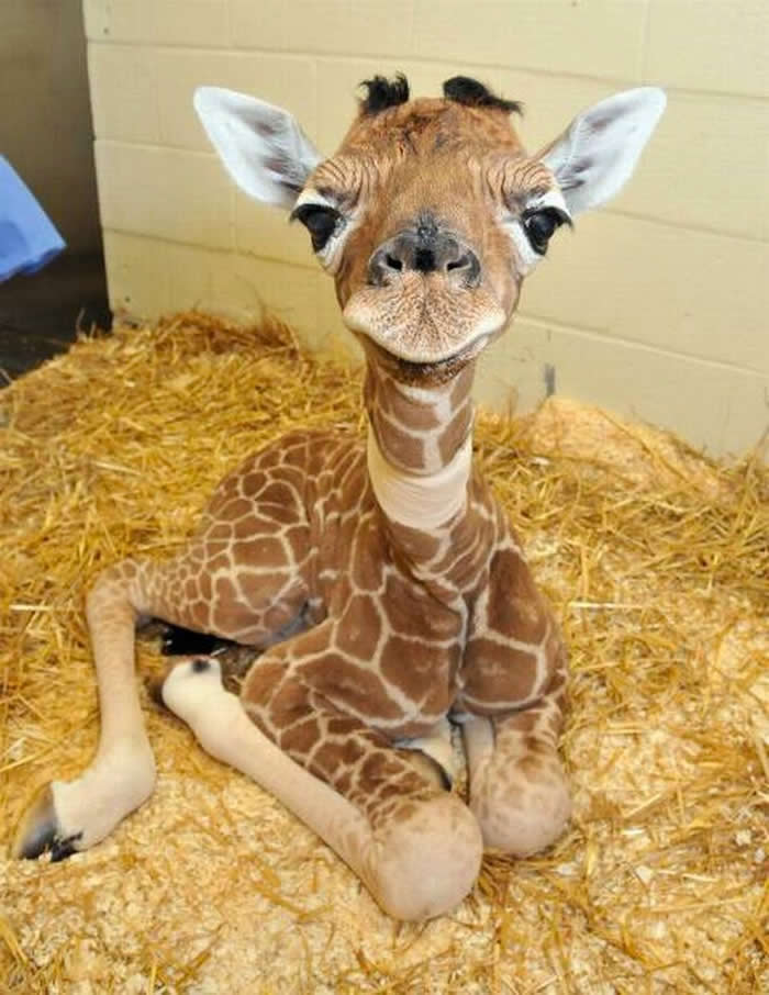 Pure Beauty of Nature