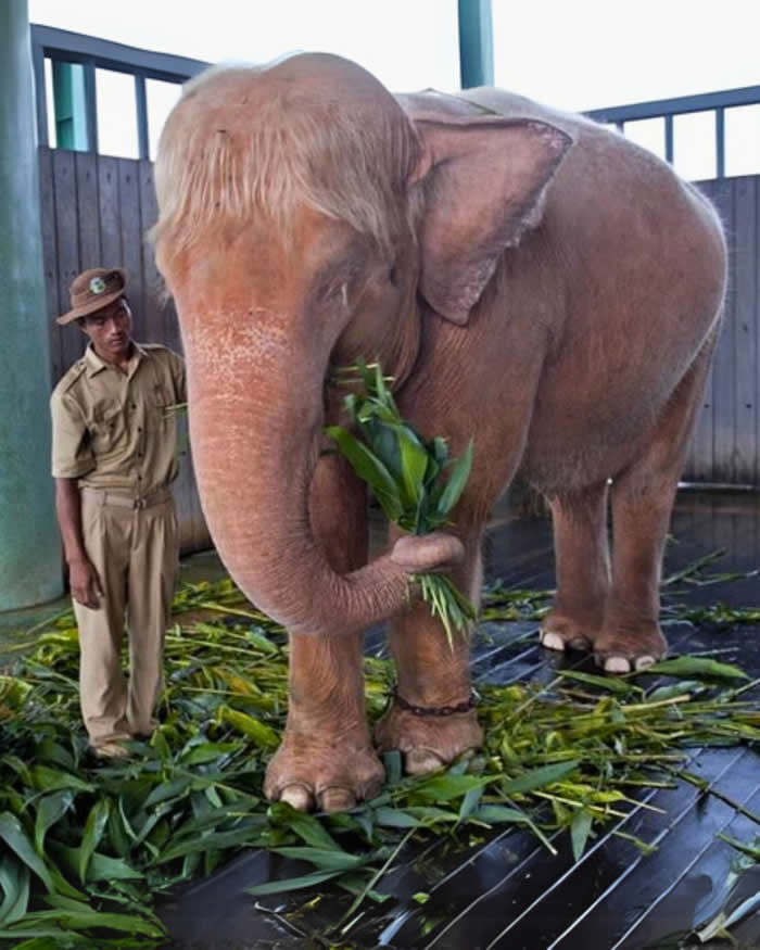 Pure Beauty of Nature