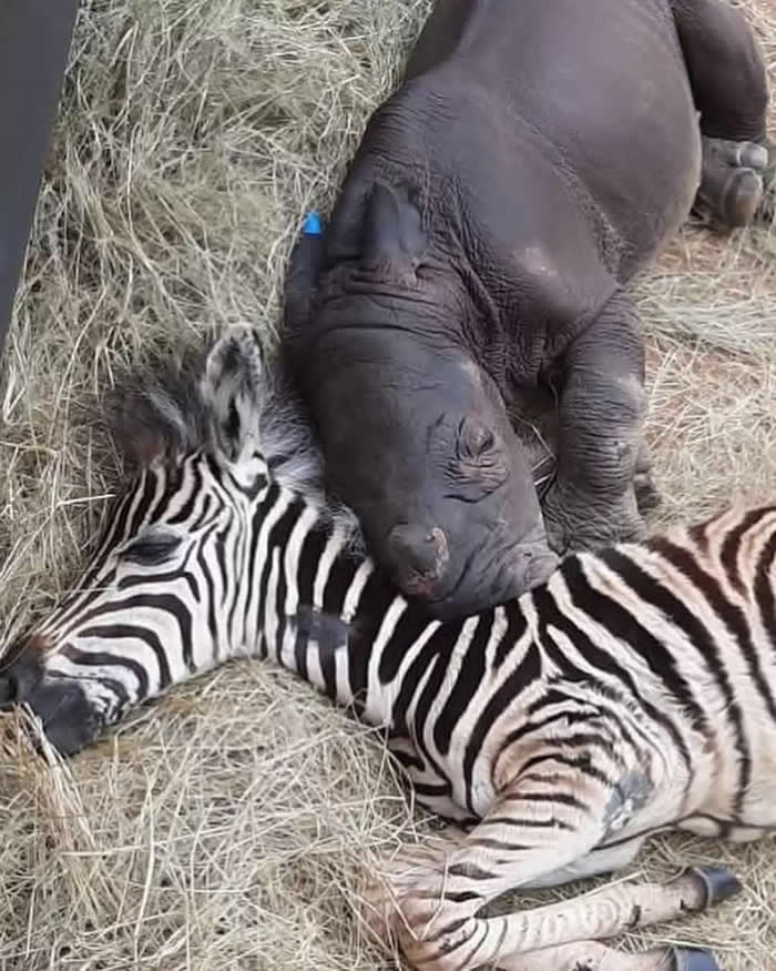 Pure Beauty of Nature