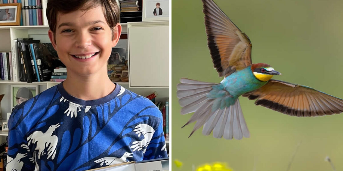 Bird Photography by Sasha Jumanca