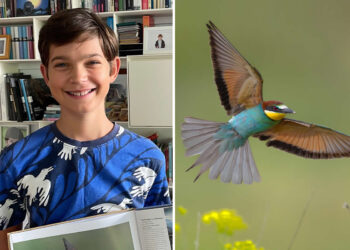 Bird Photography by Sasha Jumanca