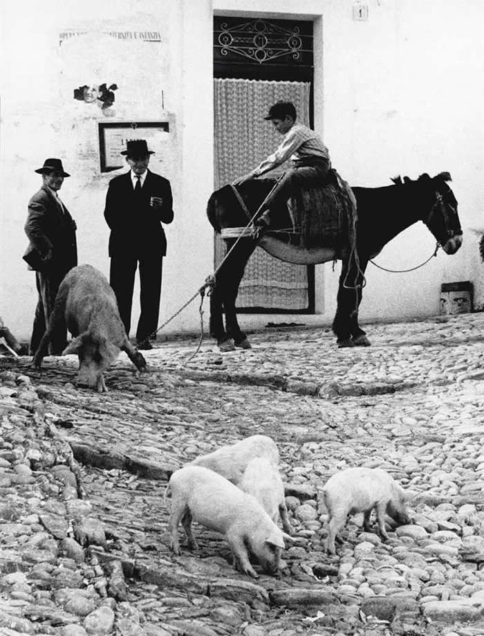 Puglia, Italy, 1958 - Iconic Black and White Photos from Greatest Photographers