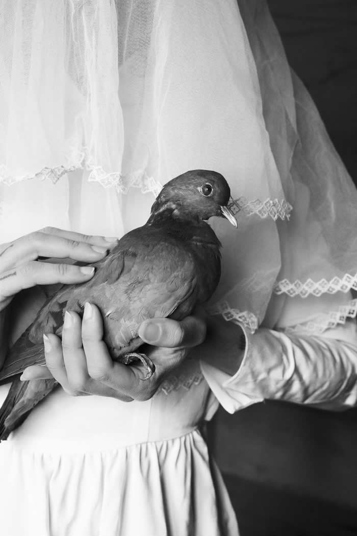 Black and White Minimalism Photography