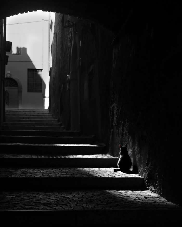 Black and White Minimalism Photography