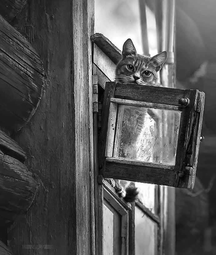 Black and White Minimalism Photography