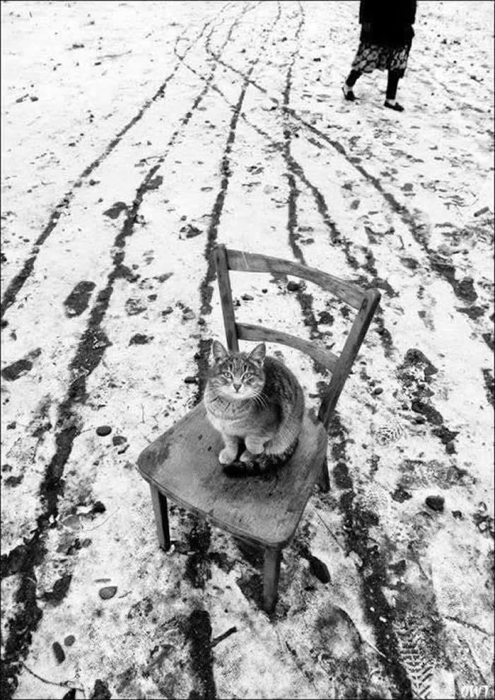 Black and White Minimalism Photography