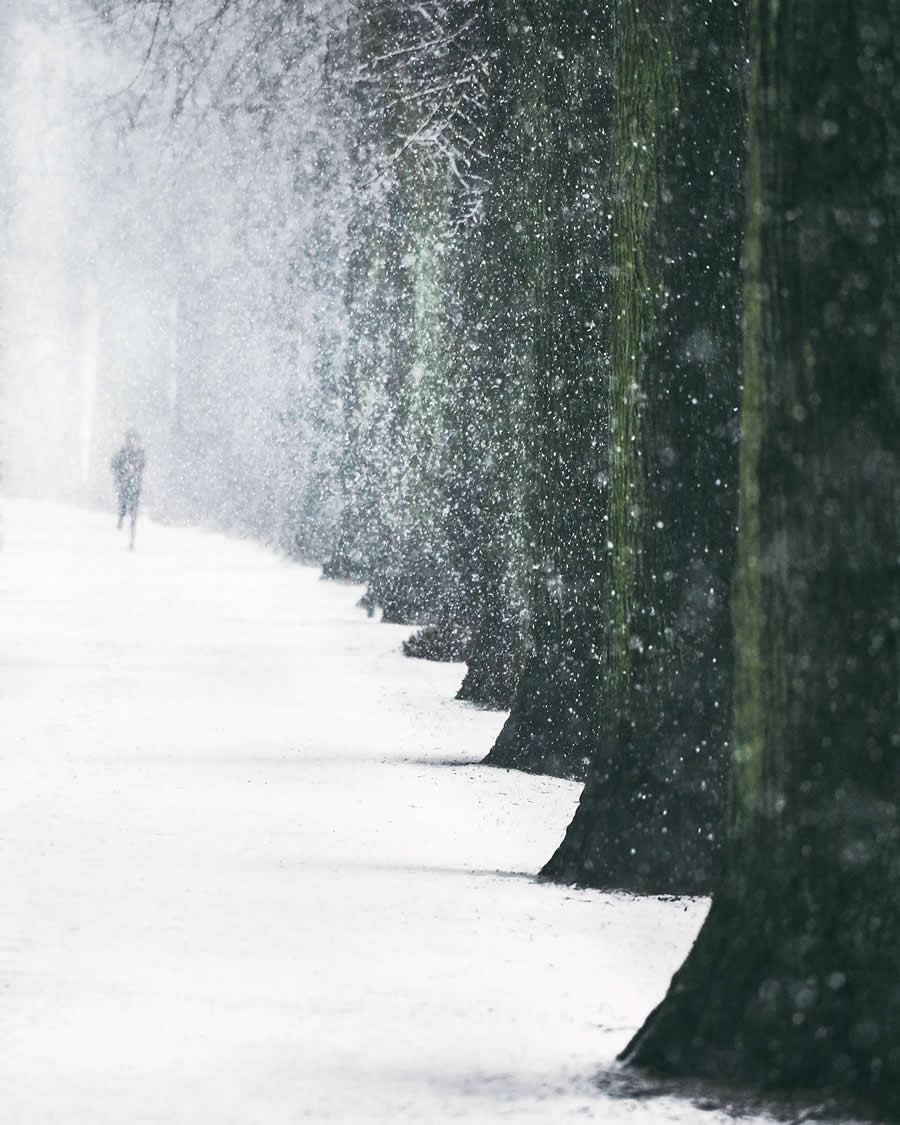 Blizzard in Hamburg by Alexander Schönberg