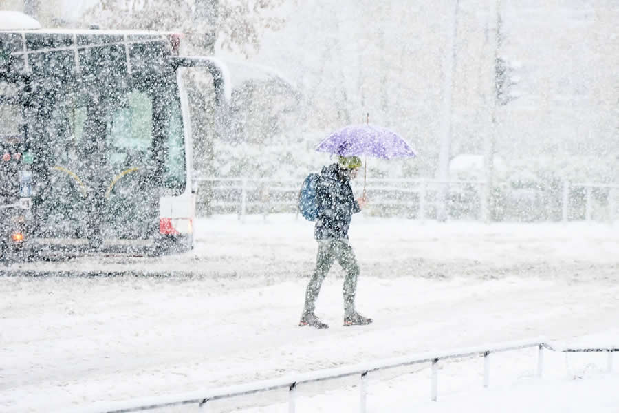 Blizzard in Hamburg by Alexander Schönberg