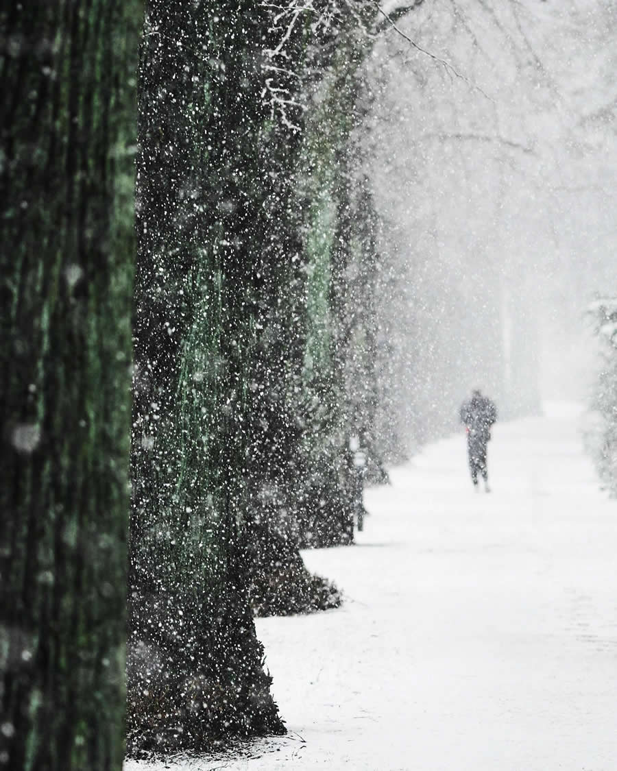 Blizzard in Hamburg by Alexander Schönberg