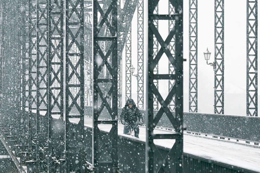 Blizzard in Hamburg by Alexander Schönberg