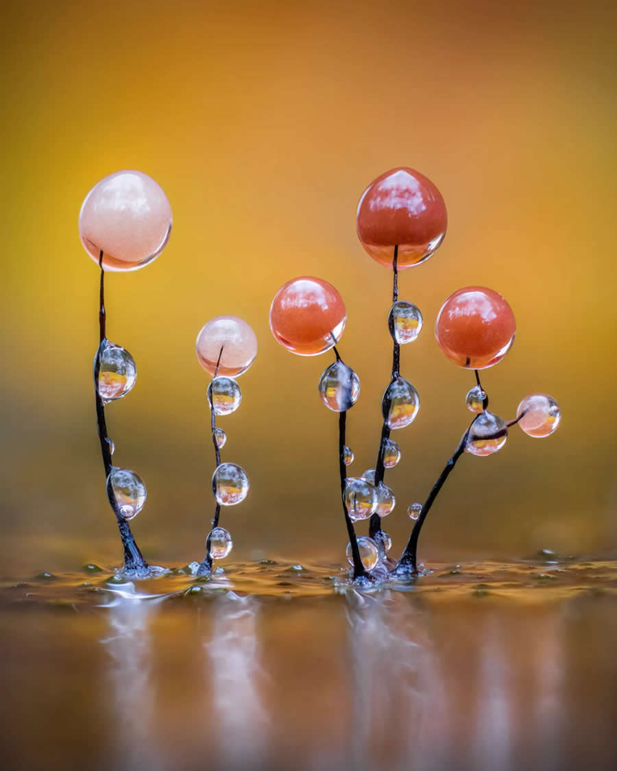 British Photography Awards 2025 Winners