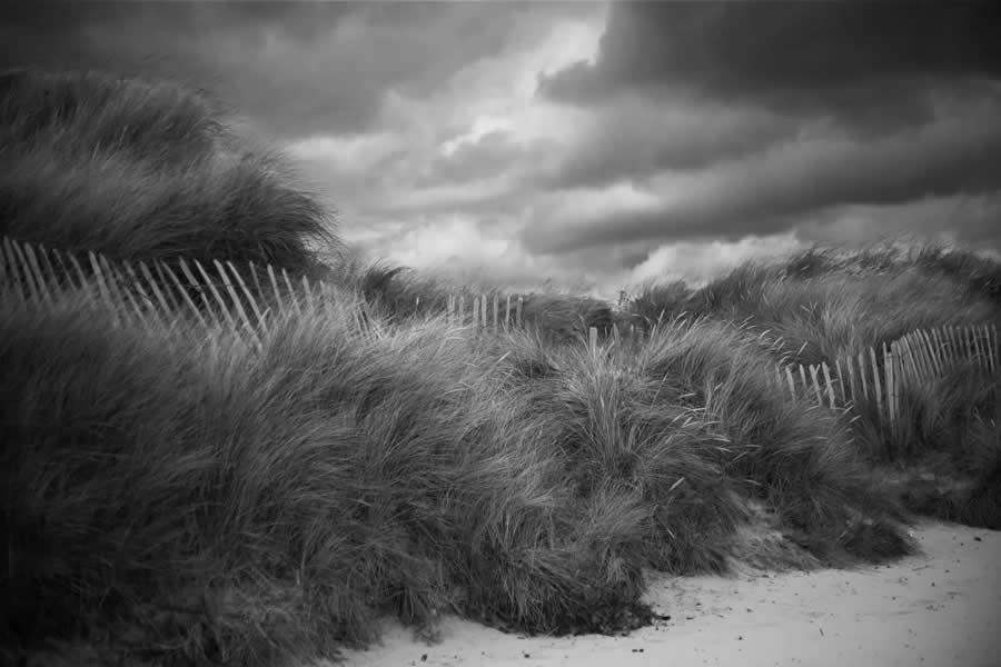 British Photography Awards 2025 Winners