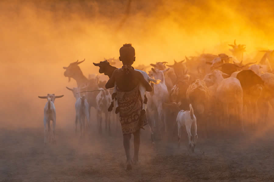 Sunrise Shepherdess by Emily M. Wilson, United States - Chromatic Photography Awards People and Culture Winners