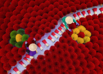 Chromatic Photography Awards People and Culture Winners