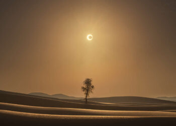 Desert Landscape Photography by Maxime Daviron