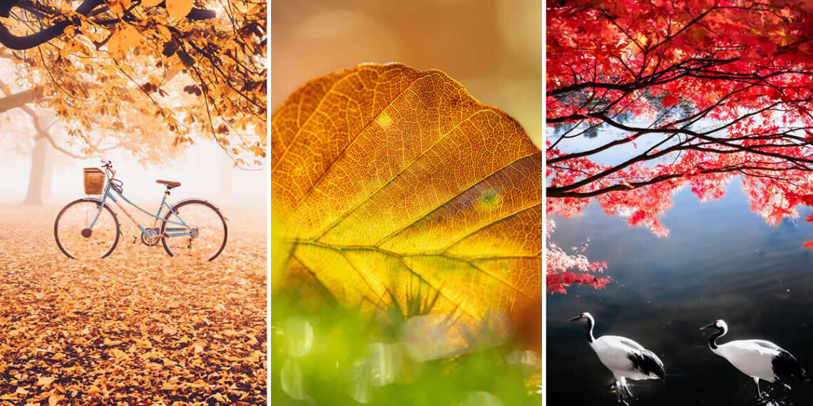 Fall Photos Capture Autumn Fiery Magic