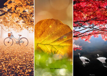 Fall Photos Capture Autumn Fiery Magic