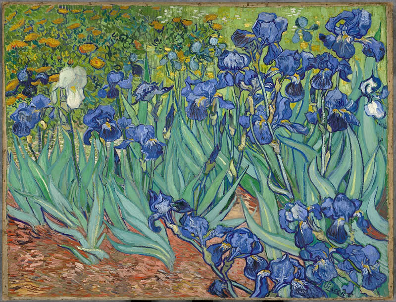 Irises (1889) - Famous Van Gogh Paintings