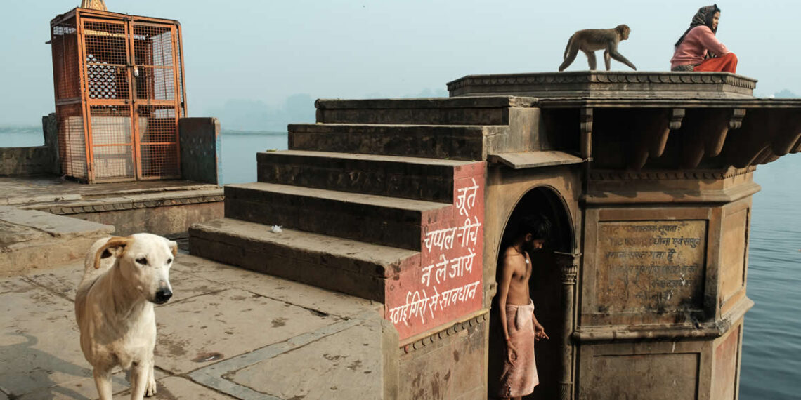 Gil Kreslavsky Street Photography