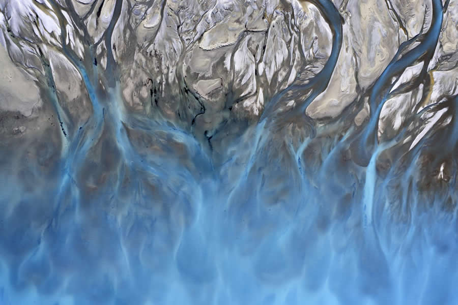 Global Photography Awards 2025 Nature Winners