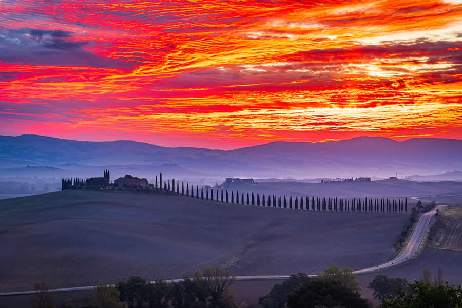 Global Photography Awards 2025 Nature Winners