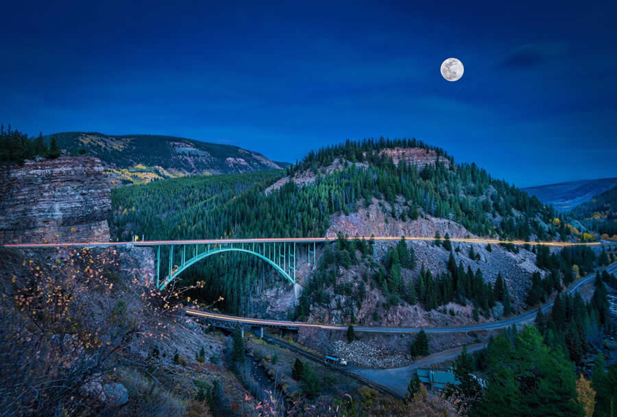 Global Photography Awards 2025 Nature Winners