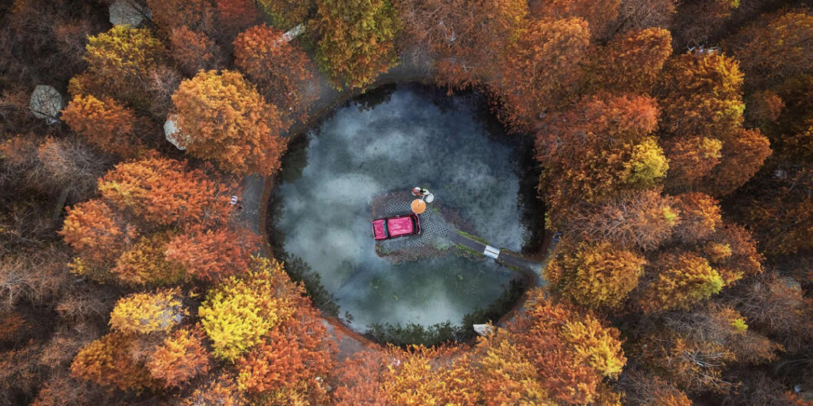 Global Photography Awards 2025 Nature Winners