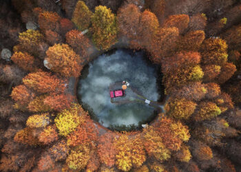 Global Photography Awards 2025 Nature Winners