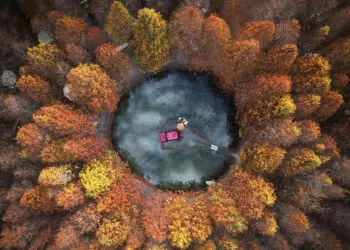 Global Photography Awards 2025 Nature Winners