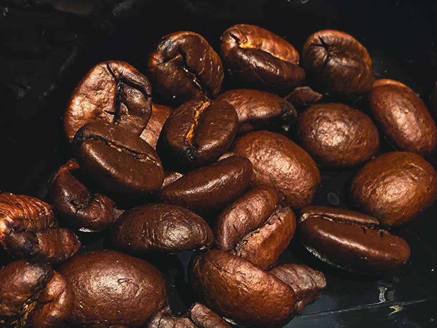 Gurushots Magnificent Macro Winners Photo Challenge