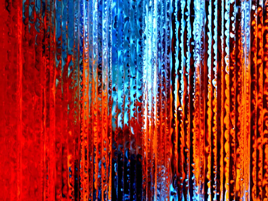 Gurushots Magnificent Macro Winners Photo Challenge