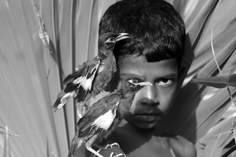 IPF Portrait Prize 2025 Winners