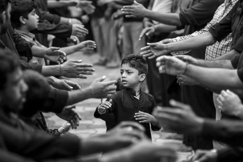 IPF Portrait Prize 2025 Winners