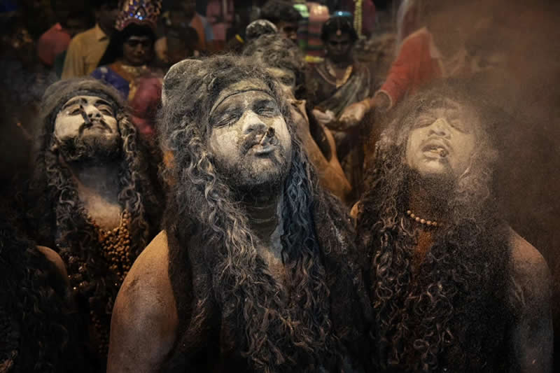 IPF Portrait Prize 2025 Winners