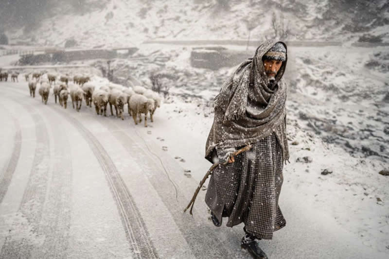 IPF Portrait Prize 2025 Winners