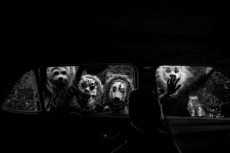 IPF Portrait Prize 2025 Winners