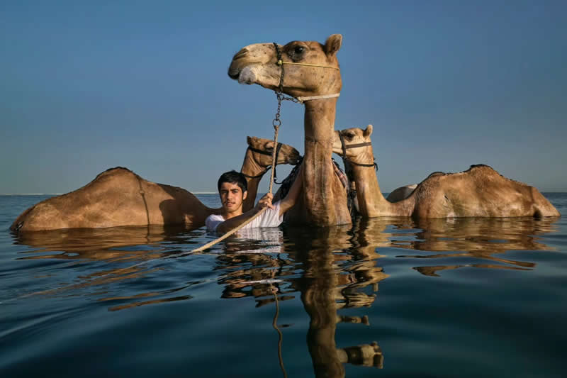 IPF Portrait Prize 2025 Winners