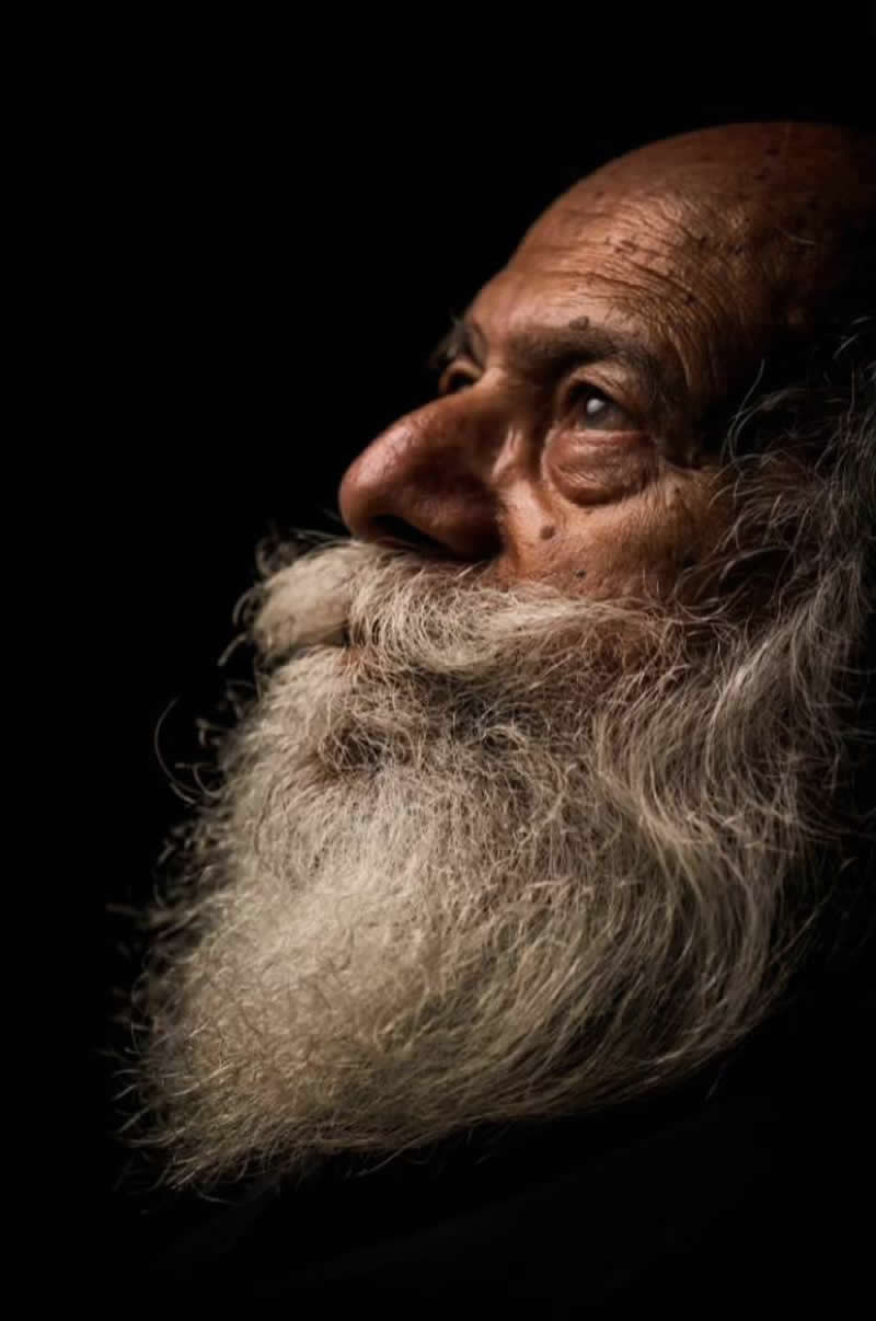 IPF Portrait Prize 2025 Winners